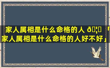 家人属相是什么命格的人 🦋 「家人属相是什么命格的人好不好」